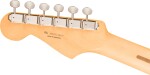 Fender Player II Stratocaster RW CGR