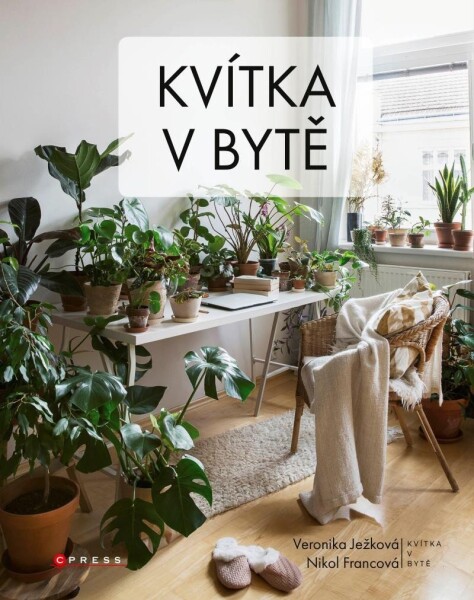 Kvítka bytě