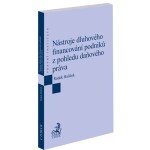 Nástroje dluhového financování podniků z pohledu daňového práva - Radek Halíček