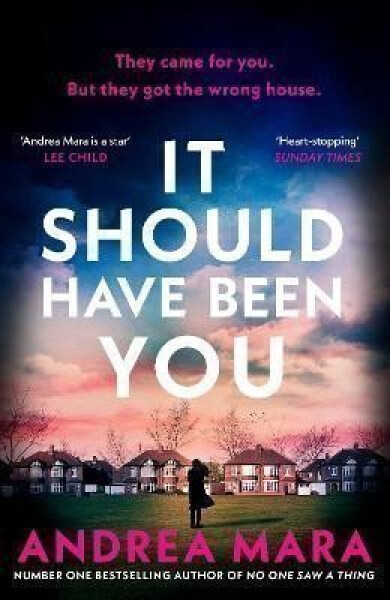 It Should Have Been You - Andrea Mara