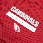 Nike Pánské kraťasy Arizona Cardinals NFL 2024 Sideline Mesh Dri-FIT Shorts Velikost: M