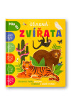 Úžasná zvířata POP-UP - Catherine Ard