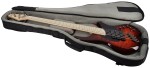 Dingwall Combustion 5 MN Vintage Burst