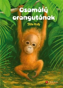 Osamělý orangutánek Tilda Kelly