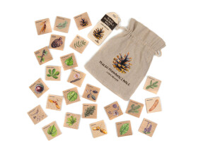 Pexeso Poznávacie Malé - Lesné dreviny SK