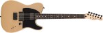 Fender Jim Root Telecaster EB SGD