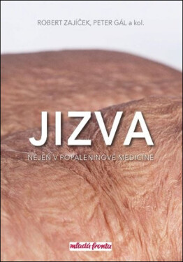Jizva nejen popáleninové medicíně