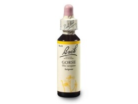 Hlodaš evropský (Gorse) 20 ml - Bachovy esence Dr.Bach