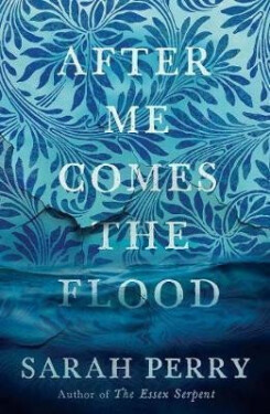 After Me Comes the Flood Sarah