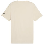 Puma Sport Graphic Tee M 684617 87 pánské tričko 2 XL