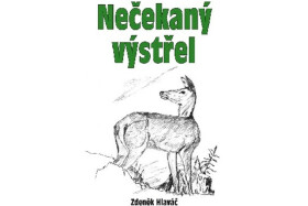 Nečekaný výstřel Zdeněk Hlaváč