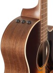 Taylor AD14ce 50th Anniversary