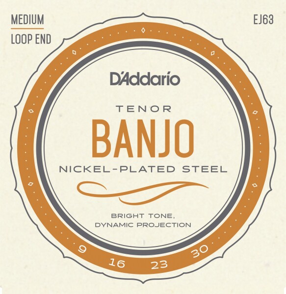 D'Addario EJ63