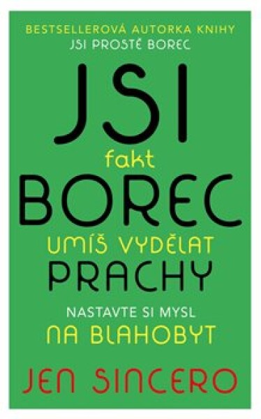 Jsi fakt borec - umíš vydělat prachy. Nastavte si mysl na blahobyt - Jen Sincero