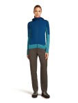 ICEBREAKER Wmns 300 RealFleece Descender LS Zip Hood, Topaz/Atlantis/Cb velikost: S