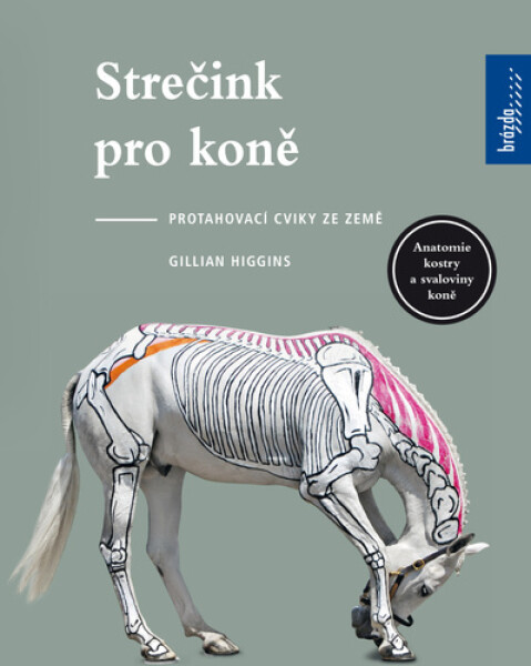 Strečink pro koně