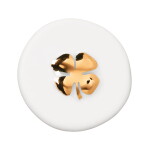 Räder Porcelánová mince pro štěstí Cloverleaf, bílá barva, porcelán