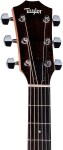Taylor 117e