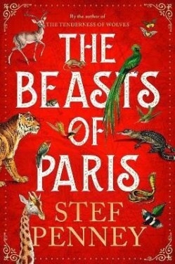 The Beasts of Paris, Stef Penney