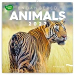 NOTIQUE Poznámkový kalendář Ohrožené druhy 2027 / Kalendář / 30 × 30 cm / Plastic Free