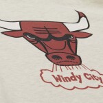 Mitchell & Ness Pánská mikina Chicago Bulls NBA Slammin Hoodie Oatmeal Heather Velikost: M
