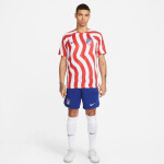 Atletico Madrid pánské tričko DF Stadium Home M DM1838 101 - Nike L