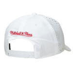 Mitchell & Ness Pánská kšiltovka Chicago Bulls NBA Perfect Logo Pro Snapback