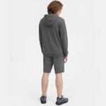 Pánské šortky 4FSS23TSHOM156 23M 4F