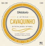 D'Addario EJ93