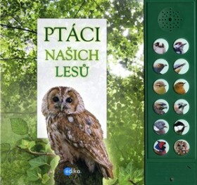 Ptáci našich lesů | Hana Marsault, Andrea Pinnington, Caz Buckingham