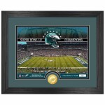 Obraz Philadelphia Eagles NFL Team Stadium Bronze Coin