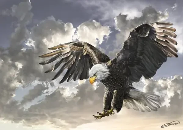 ART PUZZLE 4167 Puzzle Černá a bílá