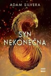 Syn nekonečna