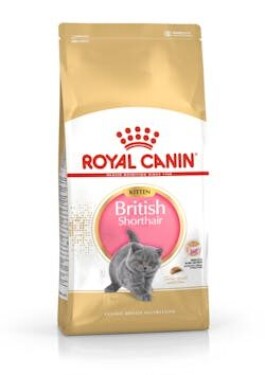 Royal Canin British Shorthair Kitten 10 kg