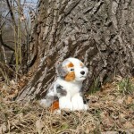 Plyšový pes australský ovčák 23 cm, ECO-FRIENDLY