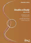 Studie Etudy