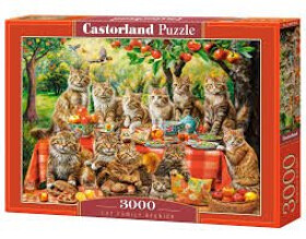 Castorland Puzzle Cat Family Reunion 3000 dílků