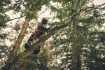 Aku řetězová pila STIHL MSA 220 TC-O