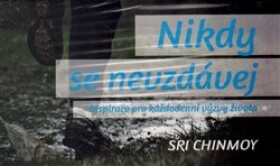 Nikdy se nevzdávej / Inspirace pro každodenní výzvy života - karty - Sri Chinmoy