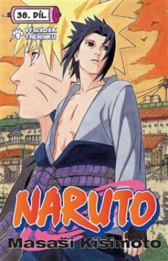 Naruto 38: Výsledek tréninku Masaši Kišimoto