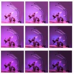 Gardlov 19241 LED Lampička pro pěstování rostlin 20 LED 2 trubice 20W