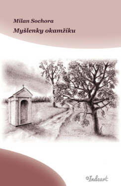 Myšlenky okamžiku - Milan Sochora