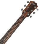Taylor JCSM-6 Jacob Collier
