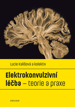 Elektrokonvulzivní léčba – teorie a praxe - Lucie Kališová