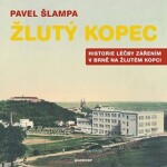 Žlutý kopec - Historie léčby zářením v Brně na Žlutém kopci - Pavel Šlampa