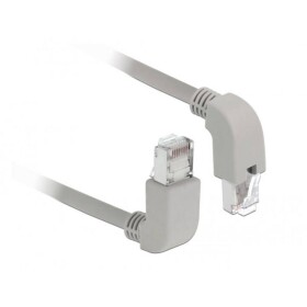 Delock 85861 RJ45 síťové kabely, propojovací kabely CAT 6 S/FTP 0.50 m šedá 1 ks