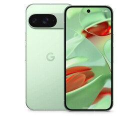 Google Pixel 9 - 256GB Wintergreen, EU EDF_1289013