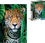 Puzzle 500 dílků Jaguar v džungli Compact - Clementoni