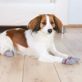 TRIXIE Ponožky protiskluzové šedé L 2 ks / Ponožky pro psy / Bavlna, spandex / Pro obří plemena (G14-19504)