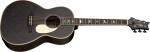 PRS SE P20 Parlor Dog Hair 2026